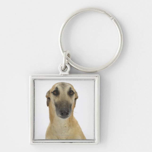 Dog on White 41 Keychain (Front)