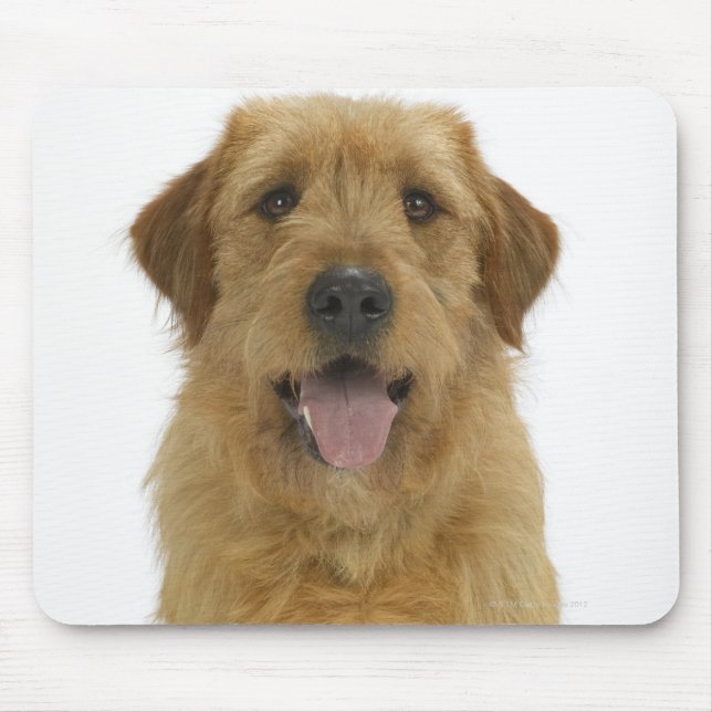 Dog on White 44 Mouse Pad (Front)