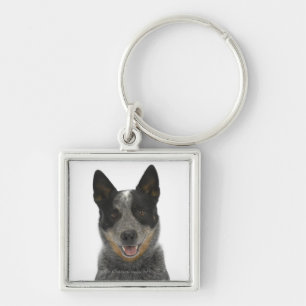 Dog on White 5 Keychain