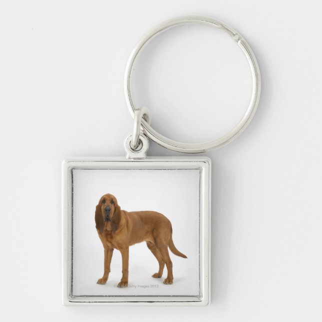 Dog on White 97 Keychain (Front)