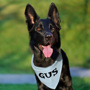 DOG or CAT CUSTOM PERSONALIZED NAME Bandana Pet Bandana Collar