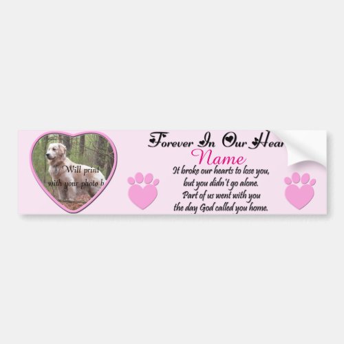 Dog or Cat Memorial Pink Bumper Sticker