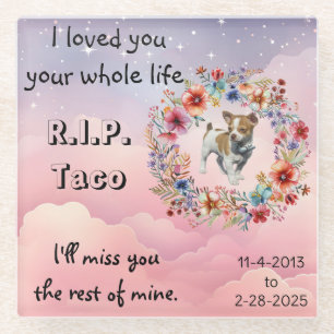 Dog or Cat Pet Sympathy Memorial Glass Coaster