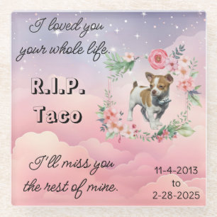 Dog or Cat Pet Sympathy Memorial Glass Coaster