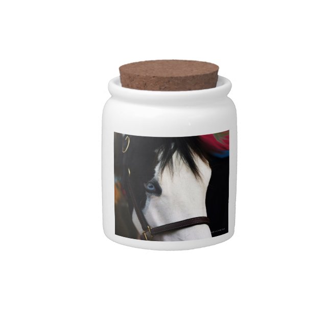 Dog or Horse treat jar (Front)