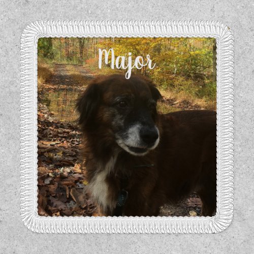 Dog or Pet Photo with Name White Script Lettering Patch
