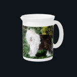 Dog Painting Old English Sheepdog Beverage Pitcher<br><div class="desc">For dog lovers featuring an Old English Sheepdog in the garden,  from my original glass painting. Matching items available to make a tea set and lovely gift. ©Annabel Potter</div>