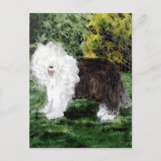 Dog Painting Old English Sheepdog Postcard (Front)