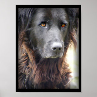 dog painting poster