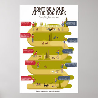 Dog Park Etiquette 101 Infographic Poster
