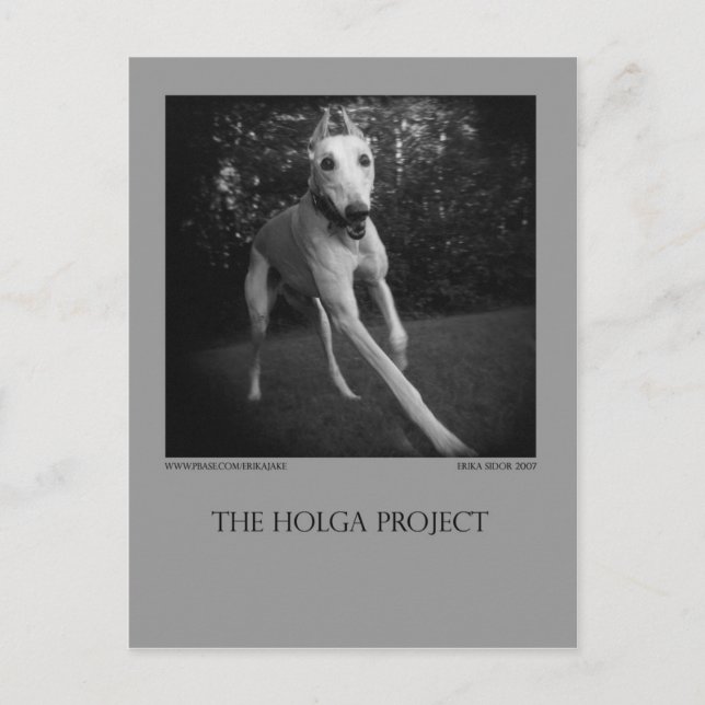 Dog Park Postcard 11 (Front)