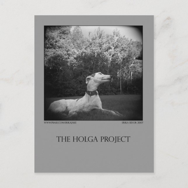 Dog Park Postcard 12 (Front)