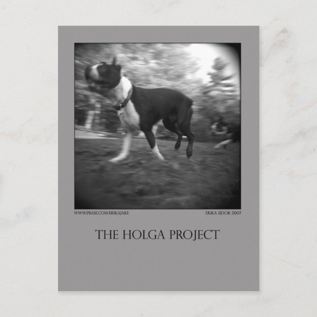 Dog Park Postcard 15 (Front)