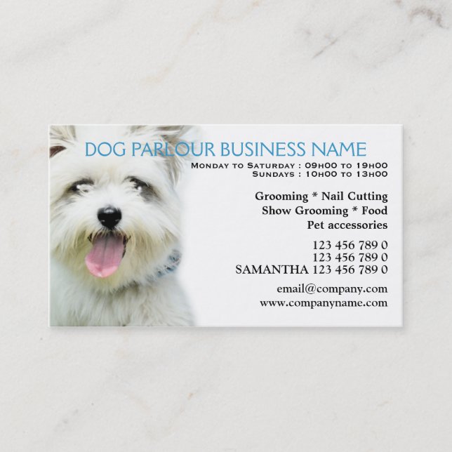 Dog parlour pet care Personalized Discount Card (Front)