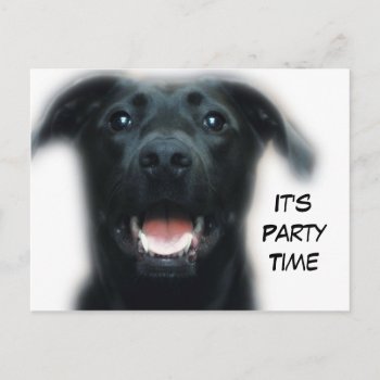 Dog Party Invitation Postcard by KKHPhotosVarietyShop at Zazzle