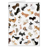 Dog Party Pile (Front)