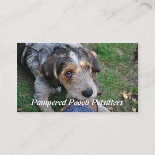 Dog pathos petsitting business card