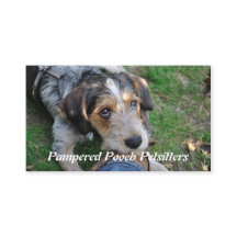 Dog pathos petsitting