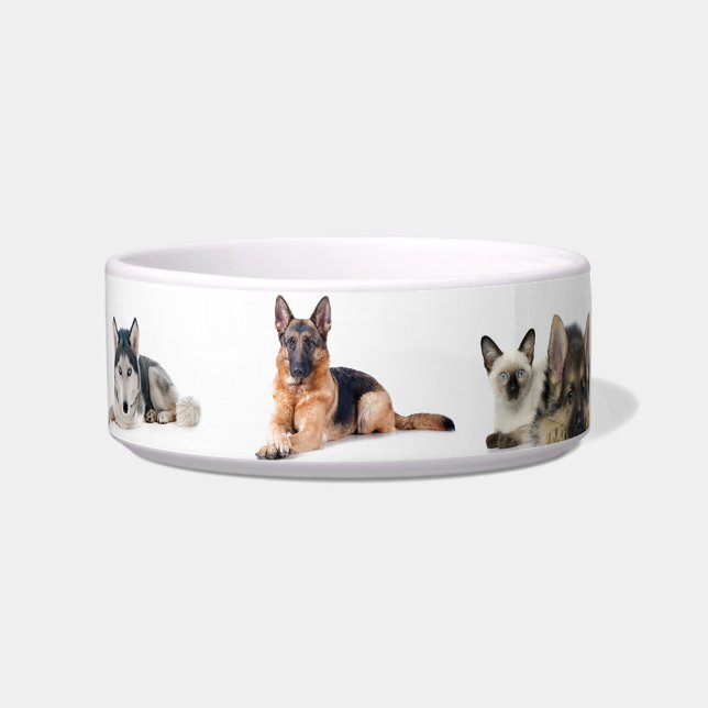 Dog Pattern Bowl (A collection of digitally enhanced images showcases a variety of dogs and a cat!)