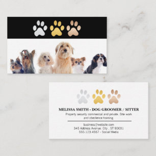 Dog Paw Logos Animals Business Card