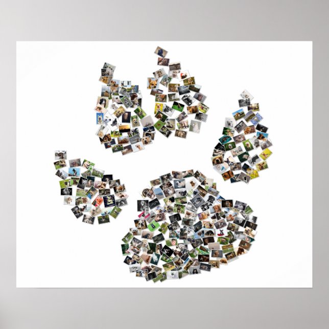 Dog Paw Print Collage (Front)