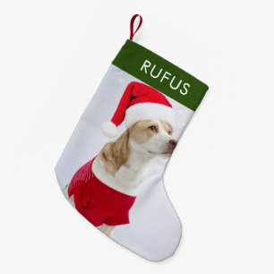 Dog Paw Themed Personalized Christmas Photo Small Christmas Stocking