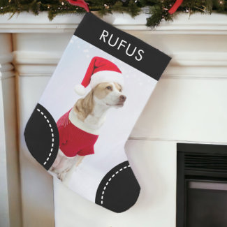 Dog Paw Themed Personalized Christmas Photo