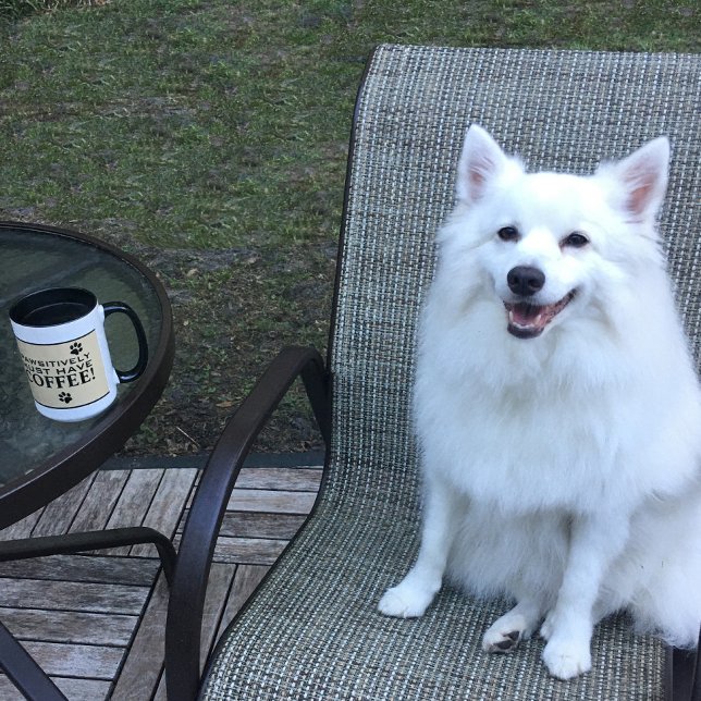 Dog Paw Typography Coffee Lover's Cute Specialty Mug (Dog Paw Typography Coffee Lover's Cute Specialty Mug)