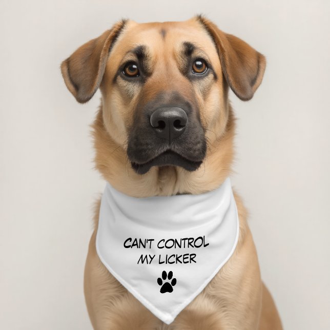 Dog Pawprints and Heart Pet Bandana Collar (Dog 2)