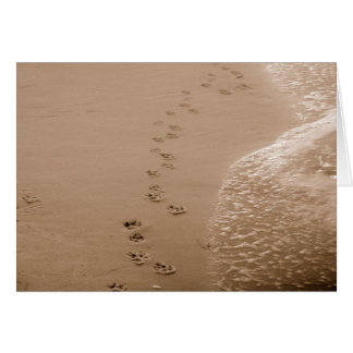 Dog Pawprints In The Sand Sympathy Card
