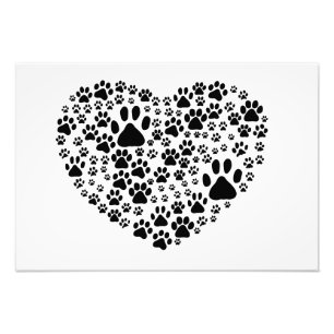 Dog Paws, Puppy Paws, Animal Paws, Heart, Pet Photo Print