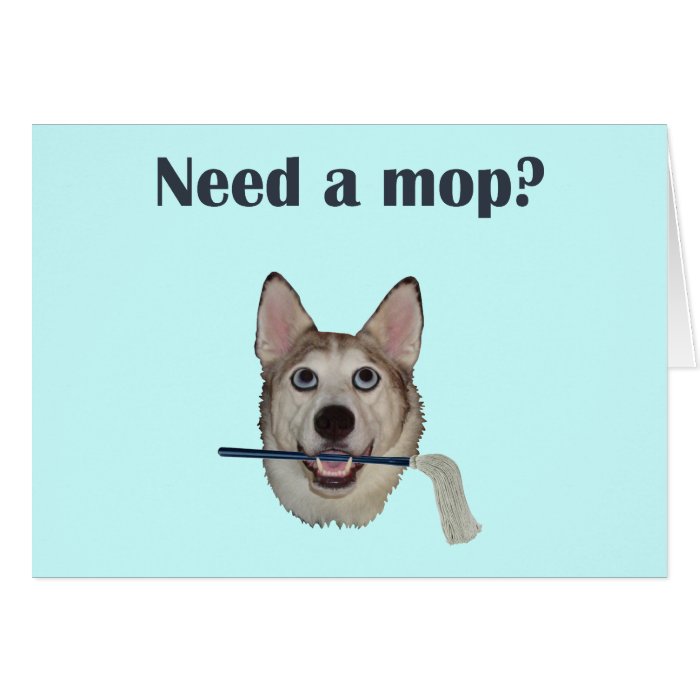 Dog Pee Humor Need Mop Greeting Cards