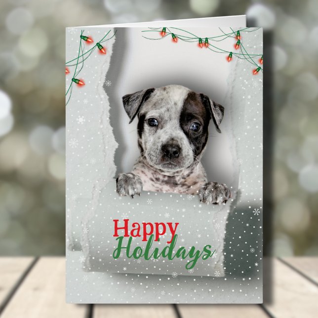 Dog Peeking Christmas Lights Holiday Card (This cutecard with a pup peeking out of torn paper, wishing you a happy holiday season! With love!)