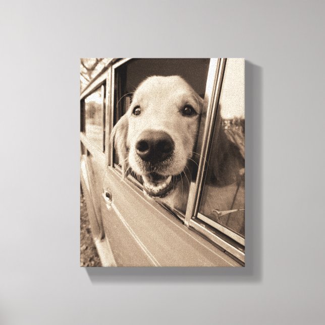 Dog Peeking Out a Car Window Canvas Print (Front)