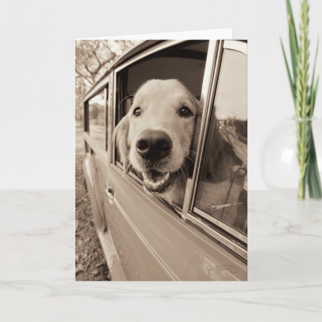 Dog Peeking Out a Car Window Card (Front)