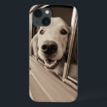 Dog Peeking Out a Car Window iPhone 13 Case<br><div class="desc">© Jim Dratfield / Wild Apple.  This dog has its head outside the car window. It's enjoying the trip tremendously.</div>