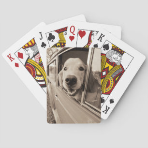 Dog Peeking Out a Car Window Poker Cards