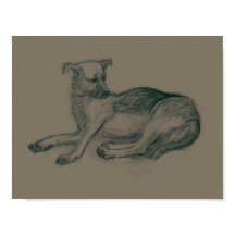 Dog. Pencil drawing.
