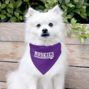 Dog Pet Bandana Collar