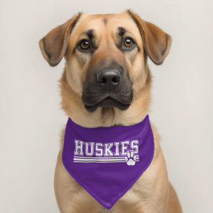 Dog Pet Bandana Collar