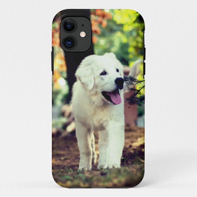 Dog, Pet, Canine Case-Mate iPhone Case (Back)