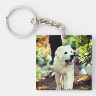 Dog, Pet, Canine Keychain