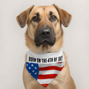  DOG PET CAT 4TH OF JULY BANDANA  COLLAR