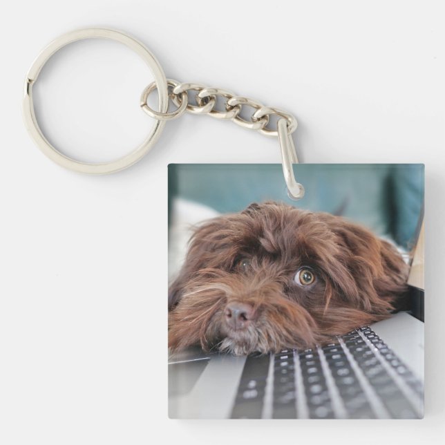 Dog, Pet, Containment Keychain (Front)