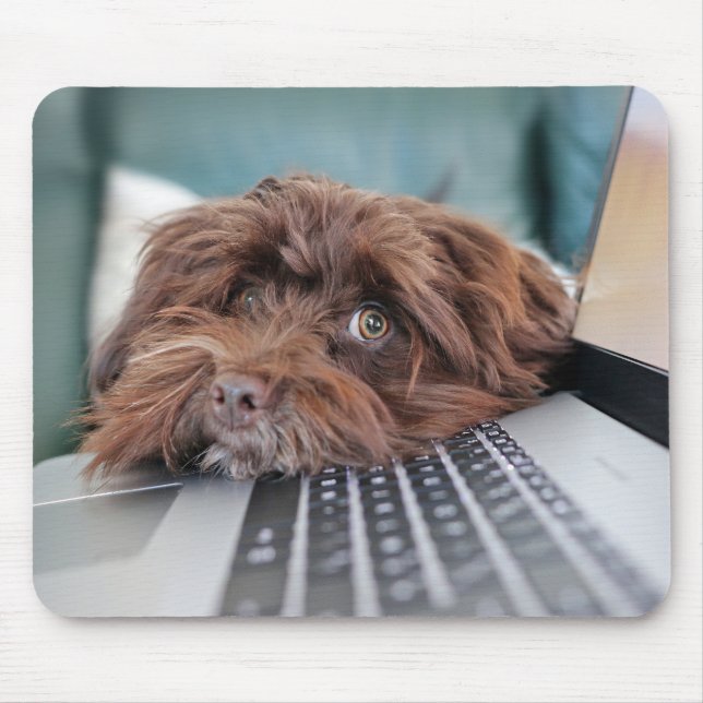 Dog, Pet, Containment Mouse Pad (Front)