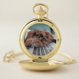 Dog, Pet, Containment Pocket Watch