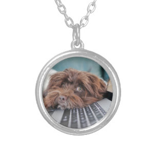 Dog, Pet, Containment Silver Plated Necklace
