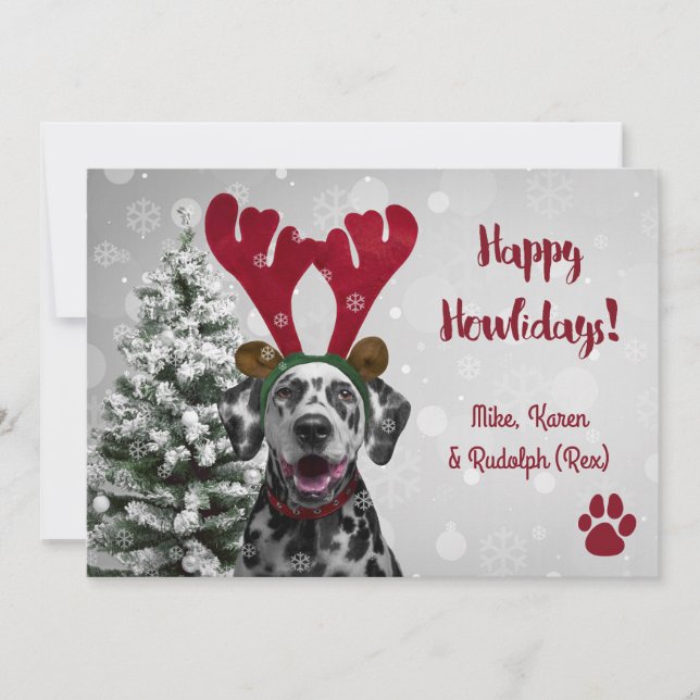 Dog Pet Funny Merry Christmas Cards (Front)