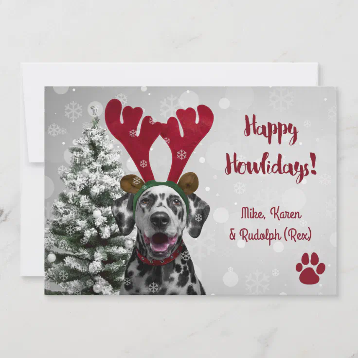  Allynn's 20 Funny Naughty Dog Christmas Cards, Boxed with  Envelopes, 10 Define Naughty and 10 Feliz Naughty Dog cards (Let Me  Explain) : Office Products