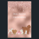 Dog Pet Grooming Sitting Business Glitter Flyer<br><div class="desc">This design may be personalized in the area provided by changing the photo and/or text. Or it can be customized by choosing the click to customize further option and delete or change the color of the background, add text, change the text color or style, or delete the text for an...</div>